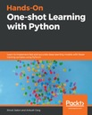Электронная книга «Практическое обучение с помощью Python» за один раз