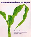 Американские модерны на бумаге: шедевры эпохи