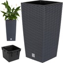 3x БОЛЬШОЙ ЦВЕТОЧНЫЙ ЦВЕТОЧНЫЙ ЦВЕТОК ИЗ РОТАГА