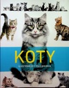 Koty Ilustrowany przewodnik
