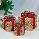 ПОДАРОЧНОЕ УКРАШЕНИЕ СВЕТОДИОДНЫЙ НАБОР ИЗ 3 ШТ.