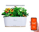 Extralink Smart Garden | Inteligentna doniczka | Wi-Fi, Bluetooth Marka Extralink