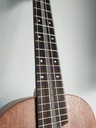Профессиональная деревянная Гавайская концертная гавайская гитара
