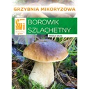 Grzybnia Borowik szlachetny Prawdziwek 10g
