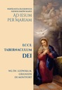 В утробе Марии. Ecce Tabernaculum Dei