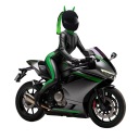 CAP NA HELMET WILD RIDER  photo 14