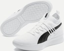 Баскетбольные кроссовки Puma Clyde Court GW 39 Белый