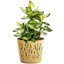 ЦВЕТОЧНЫЙ ГОРШОК С КРУГЛОЙ КРЫШКОЙ ПЕСОЧНОГО цвета, 12,8 см