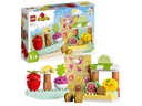 LEGO DUPLO Рынечек био 10983