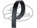 BELT MULTI-RIBBED MERCEDES T1 TN 2.9 88-95 VARITO 2.9 96-10 TO 100 2.9 94- photo 2 - milautoparts-fr.ukrlive.com