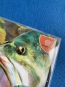 Get Bass / SEGA Bass Fishing NTSC-J Dreamcast