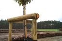набор опор для дерева 6x250 см