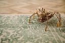 Wood Trick Spider Space Spider Drevené puzzle 3D Počet prvkov 245