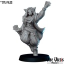 The Tabaxi diviner - x1 - 3dmonkeypl