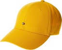 ŠILTOVKA TOMMY HILFIGER BB CAP AM0AM03531