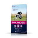 Suché krmivo Eukanuba kurča pre psov s ochoreniami kĺbov 15 kg Druh krmiva bez obilninový