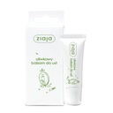 ZIAJA OLIVE Бальзам для губ, 10 мл