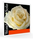 PIRASTRO WONDERTONE SOLO СКРИПИЧНАЯ СТРУНА G