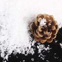 Umelý dekoratívny sneh Páperie 105g EAN (GTIN) 5900779946446