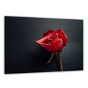 РАЗДЕЛОЧНАЯ ДОСКА ИЗ ЗАКАЛЕННОГО СТЕКЛА 30х22 РОЗОВОЕ ЗАКАЛЕННОЕ СТЕКЛО