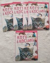 Наши фавориты Кошки и котята