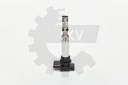 BOBINE ALLUMAGE 03SKV107photo 9