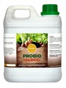 Экстракт пижмы против личинок Probio Ogród 2 л