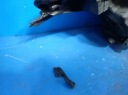 PHARE DROITE AVANT OPEL INSIGNIAphoto 6
