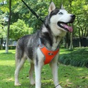 Szelki treningowe spacerowe dla psa ASTRO pomarańczowe rozmiar XL Cechy dodatkowe bezuciskowe elementy odblaskowe wodoodporne