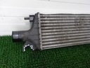 SUZUKI SX4 SEDICI 06-13 2.0 DDIS INTERCOOLER 13620-79J80 Katalógové číslo dielu 13620-79J80