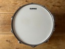 WERBEL DW COLLECTORS BIRDS EYE MAPLE 14X10&quot; !!! Rozmiar 14 ''