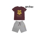 Tričko Harry Potter Rokfortské šortky Detská súprava HP 128 Dominujúca farba viacfarebná