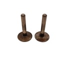 КОМПЛЕКТ КОНУСОВ КЛАПАНОВ BRIGGS & STRATTON 5HP