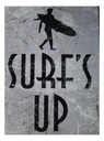 SURF'S UP SPORT МЕТАЛЛ ИЗОБРАЖЕНИЕ ЛОФТ ПАНК ТАРЕЛКА