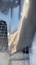 PARE-CHOCS ARRIÈRE AUDI A4 B8 BERLINE 8K5807511photo 15