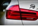 STICKER NA CAR HELMET LAPTOP BICYCLE CHAMELEON JASZCZURKA 18 X 23,0 CM  photo 6