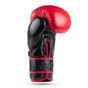 Рукавиці Dbx Bushido Кошик 10Oz