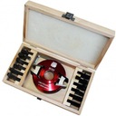 РОЛИКОВЫЙ ПРОФИЛЬНОРЕЗНЫЙ СТАНОК ПО ДРЕВЕСИНЕ HOLZMANN 100x40