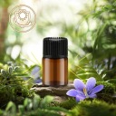 Флакони, дорожні атомайзери дорожні атомайзери 2ml 30x — фото 7