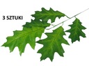 M. ДУБОВЫЙ ЛИСТ ИСКУССТВЕННЫЕ ДУБОВЫЕ ЛИСТЬЯ НАБОР ИЗ 3 ШТ.