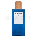 Loewe 7 EDT M 100 мл
