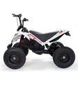 INJUSA Elektrický Quad X-Treme Dirt 24 V Nafukovacie kolesá Značka Injusa