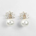 Luksusowy kryształ wysoki cyrkon perła paw kształt nausznice dla kobiet Kształt inny