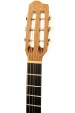 Godin Acoustic Steel 1990-е - величайшая электроакустика - профессионализм