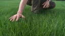 PRO COMPLEX VILA Удобрение для травы 25 кг весна лето
