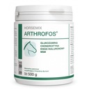 ДОЛЬМИКС ХОРСЕМИКС АРТРОФОС 500Г