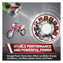 ALLECTO STATOR 12 SPOELEN COMPATIBEL MET CRF450/CRF450Xphoto 4