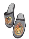Detské papučky -HARRY POTER- Plstené šľapky veľkosti od 28 do 39 EAN (GTIN) 5906067991891