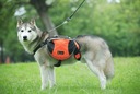 Plecak dla psa Szelki outdoor Plecak trrekingowy S Marka Mawe