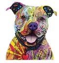 НАНЕСЕНИЕ ТЕРМОНАКЛЕЙКИ PIT BULL W23 УТЮГОМ